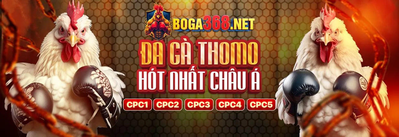 Đá gà trực tuyến Playiwin