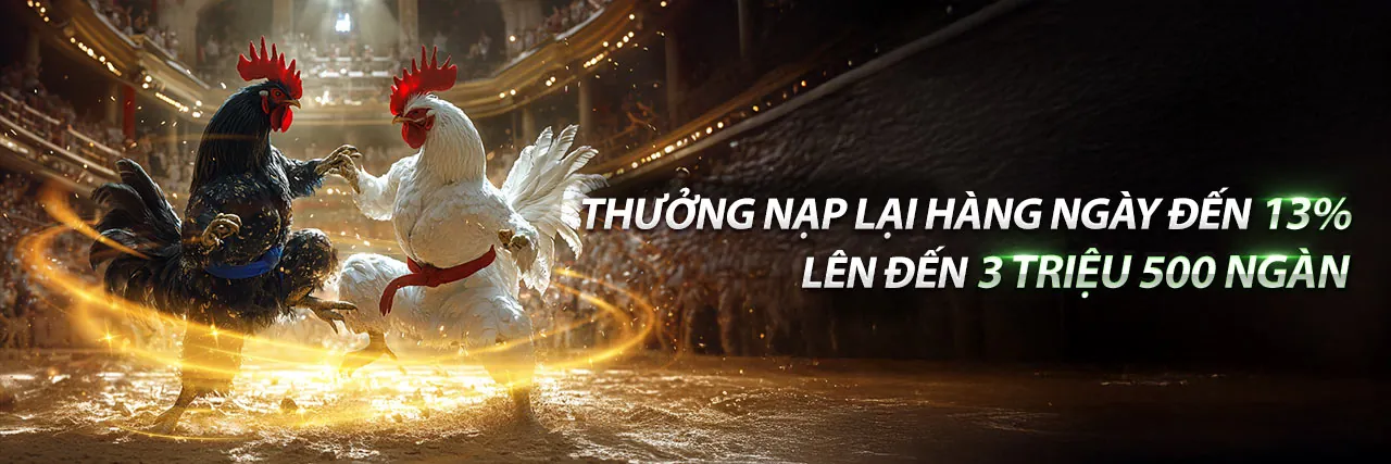Khuyến mãi Playiwin đá gà